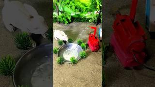 mini tractor mini cow mini water pump #shorts #shortsfeed