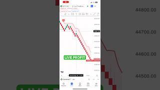 Renko Chart Live Trading Profit | #optionstrading #nifty #intradayoptionbuying #stockmarket