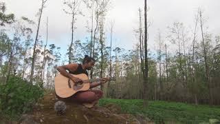 Tea Estate | Cort Earth Grand Guitar RAW recording