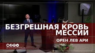 Безгрешная кровь Мессии  | Орен Лев Ари