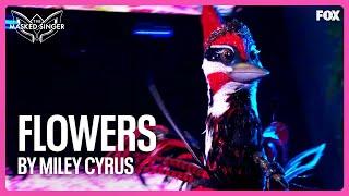 Woodpecker Performs "Flowers" by Miley Cyrus | Season 12