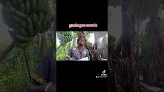 funniest meme compilation 2024 ft ruto vs gachagua, uhuru, raila, atwoli, pastor nganga #funny