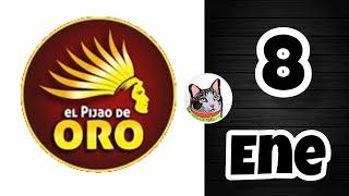 Resultado EL PIJAO DE ORO Miercoles 8 de Enero de 2025