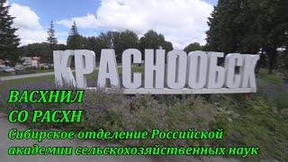 Краснообск ВАСХНИЛ СО РАСХН Сибирское отделение Российской Академии сельскохозяйственных наук 4K