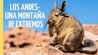 Sobrevivir en los Andes: Las Condiciones más Duras de la Naturaleza | Episodio Completo