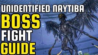 Unidentified Naytiba BOSS Fight Guide Gameplay | Normal Difficulty | Stellar Blade