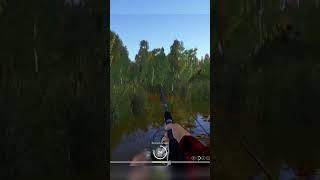 Русская Рыбалка 4 оз Комариное Трофей Ёрш 157 г #shorts #pp4 #русскаярыбалка4