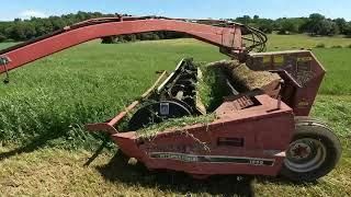 Mowing second crop grass and alfalfa! | July 2022