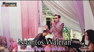 NGANTOS WALERAN (UJANG COPLOK) || LIVE PERFOM IBAS JUNA || MANGPRANGTEAM || IBAS PRODUCTION