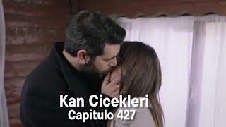 Kan Cicekleri (Flores de Sangre) Capitulo 427 - Dilan y Baran están llenos de amor.