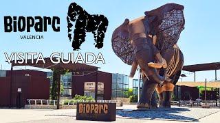 Bioparc Valencia - Visita Guiada 4K - Julio 2024