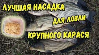 Лучшая насадка для ловли крупного карася