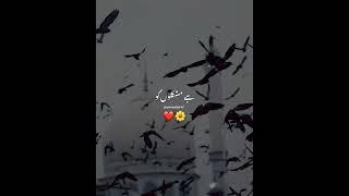 Islamic Nat WhatsApp status ️