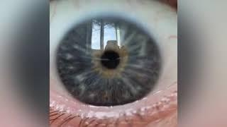 MacroLab3D full compilation tiktok.