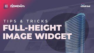 Full-height Image Widget in Elementor PRO