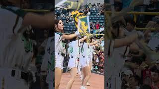 #林浠 #妡0#圈圈 #wingstars  #台鋼雄鷹啦啦隊 #台鋼雄鷹 vs  #味全龍
