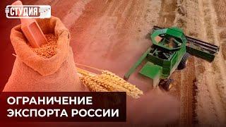 Россия запрещает экспорт сахара и пшеницы: ждать ли роста цен?