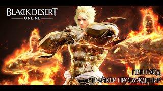 Black Desert Страйкер ПВП гайд (Пробуждение)