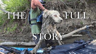 I Found a DOG on the Edge of Death - Season 2 - Episode 22 #rescue #dogrescue