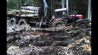 Belarus Mtz 1221.2  with large fully loaded trailer stuck in mud, difficult logging conditions