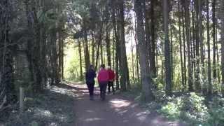 De bronnen van de Voer: de mooiste wandeling van Vlaanderen