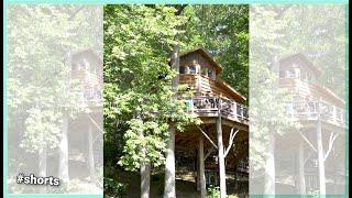 This Tiny home  TREEHOUSE is Amazing!!! #shorts