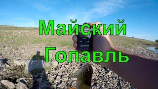 Майский Голавль. Открыл сезон по лайту.