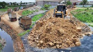 New Update Road Construction in Swap Epic SHANTUI Bulldozer Work and Truck Soil Dumping