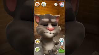 talking Tom, Tom jindagi