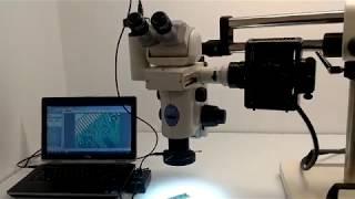 Nikon SMZ1500 Stereoscope Fluorescence Stereo Zoom Microscope Pred SMZ25  [BOSTONIND] - 13638