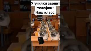 #чундра-чучундра