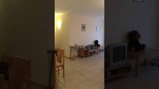 Pool view furnished 1-bedroom apartment for sale in Rose village Sunny beach Bulgaria