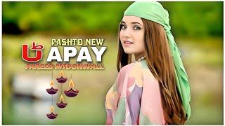 Fareed Matoon Wall |Pashto New Attan Tapay 2024|HD Video|Pashto New Song 2024