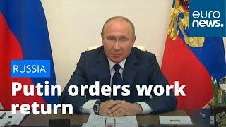 Putin criticised for ending 'non-work period' amid record Russian COVID-19 figures