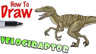 How to Draw a Velociraptor