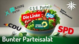 Bunter Parteisalat | DHV-News # 452