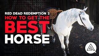 Red Dead Redemption 2 | How to Get the Best Horse