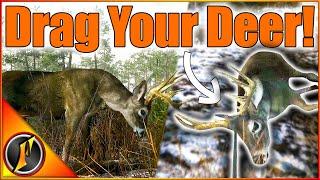 This BRAND NEW Hunting Game Takes REALISM to a New Level! | Deer Hunting Camp