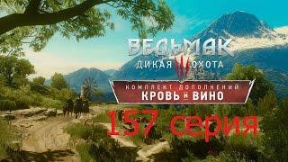 Ведьмак 3 Дикая охота 157 серия (Добро пожаловать в Туссен!)