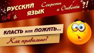  КЛАСТЬ или ЛОЖИТЬ? Как правильно писать и говорить 