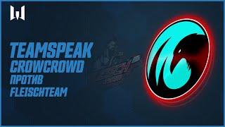 Teamspeak игроков на PRO.Masters Season IV. FleischTeam vs CrowCrowd