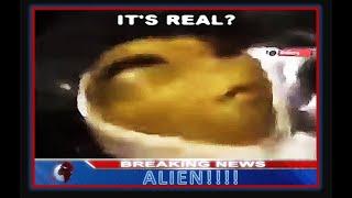 Alien exist! I have the PROOF of a REAL ALIEN! (°ﾛ°)!