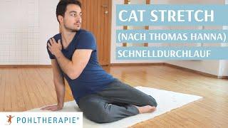 Cat Stretch Schnelldurchlauf (nach Thomas Hanna)