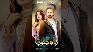 Rah-e-Junoon Drama Actor Danish Taimoor Best Dramas