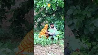 #short #funny #viral  SS dehati comedy  @YouTube #trending #funny #comedy #shorts #viral #ss