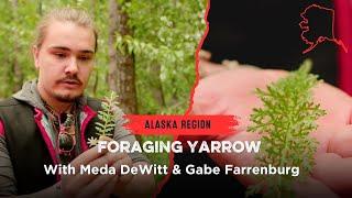 Foraging Yarrow in Alaska with Meda Weda and Gabe Farrenburg