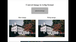 Convert an image to webp format with Javascript