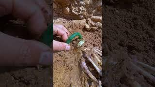 Rainbow Beach's Crystal Secrets, but beneath the sand lies a secret world of crystals.