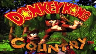 DK Island Swing - Donkey Kong Country