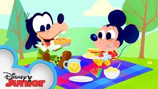 Mickey Mouse Nursery Rhymes Part 2 |  Disney Junior Music Nursery Rhymes | @disneyjr